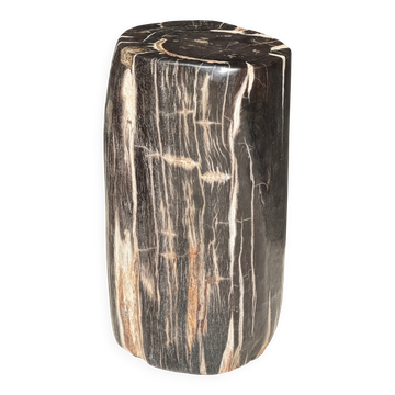 Table d'appoint en bois pétrifié noir