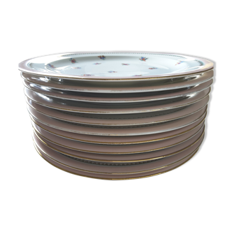 Old flat plates Chastagner Limoges France