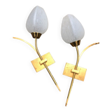 Glass and gold metal tulip wall lights