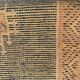 Taznakht blue moroccan wool runner rug