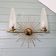 Wall lamp sun in brass and frosted glass (3 available), 1950
