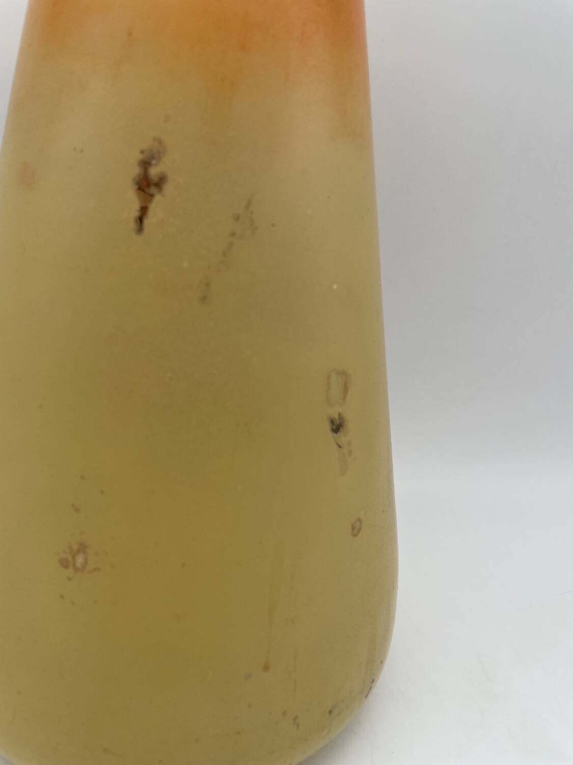 Legras Art Nouveau vase in enameled glass with flower decoration