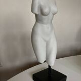 Bust of Aphrodite bathing after Praxiteles neo-classical Greco-Roman