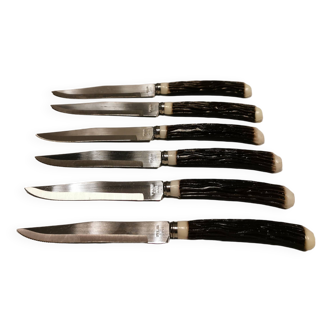 Six délicieux couteaux à steak en acier inoxydable avec manches en os, provenant du Japon