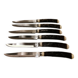 Six delicious stainless steel steak knives with bone handles, from Japan