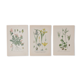 Botanical boards