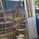 Birdcage