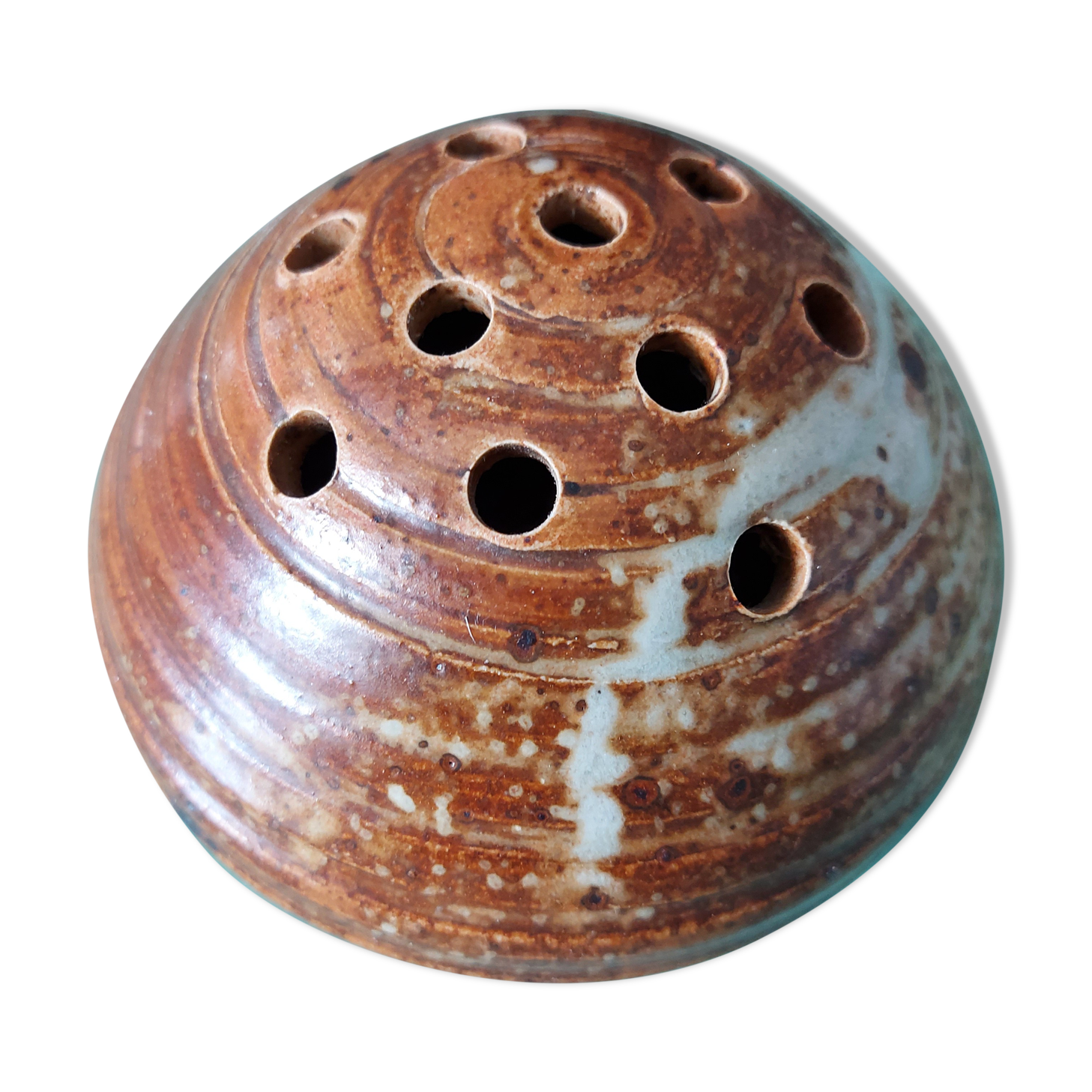 Pique flowers in sandstone the Salicornes 50s