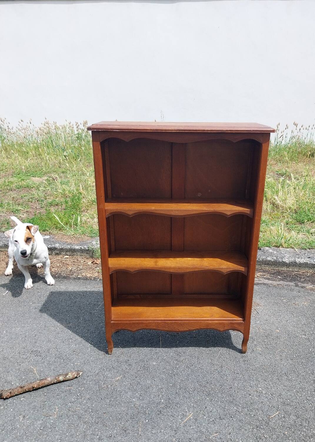Bibus oak bookcase