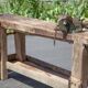 Large carpenter's workbench, old workbench, wooden workbench, industrial decoration