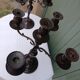 Pair of 5-light metal candlesticks