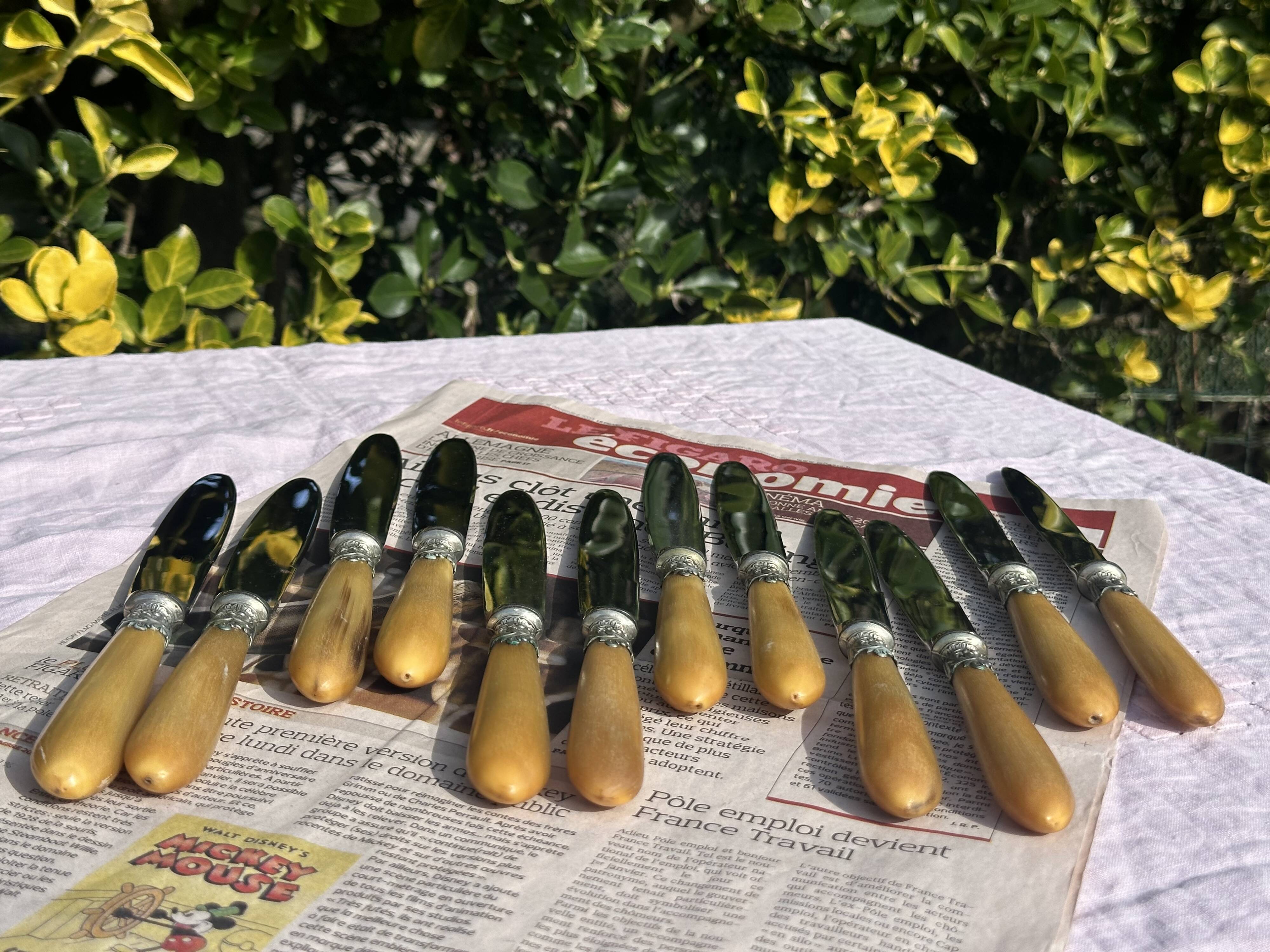 Set of 12 Antique Art Nouveau Table Knives - Tableware