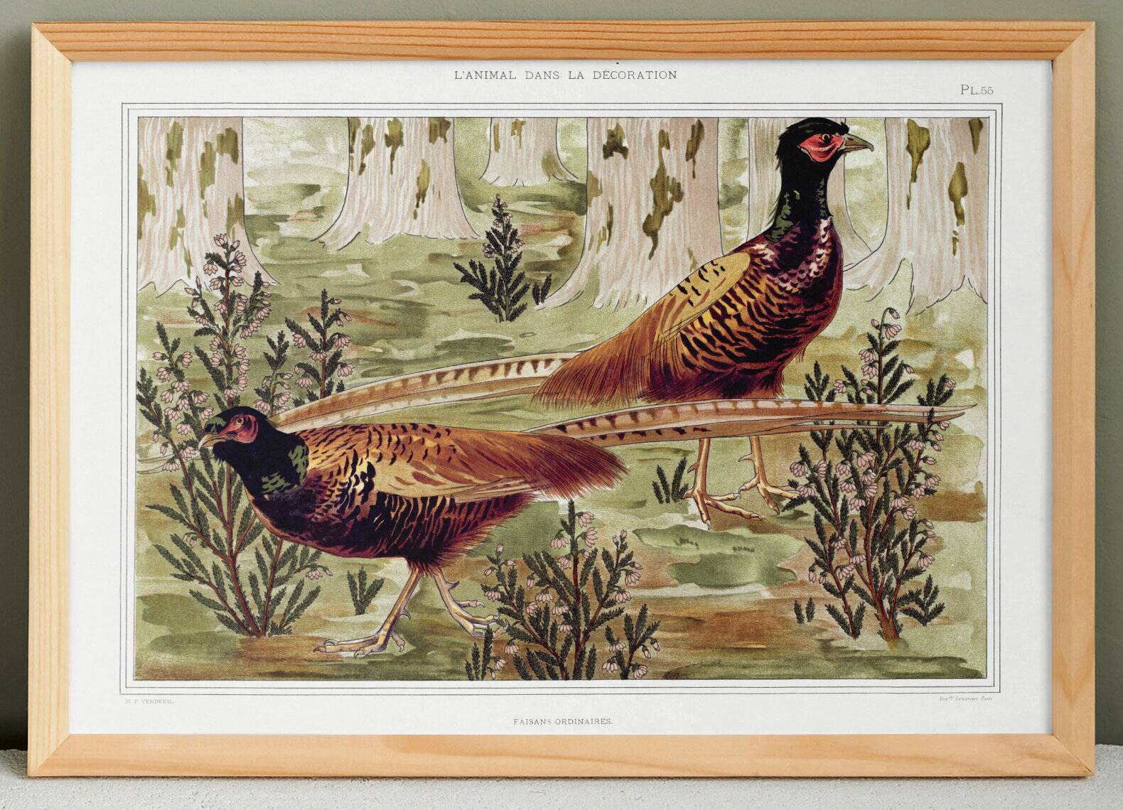Poster “Ordinary Pheasants”, after an Art Nouveau lithograph from 1897