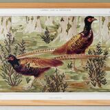 Poster “Ordinary Pheasants”, after an Art Nouveau lithograph from 1897