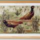 Poster “Ordinary Pheasants”, after an Art Nouveau lithograph from 1897