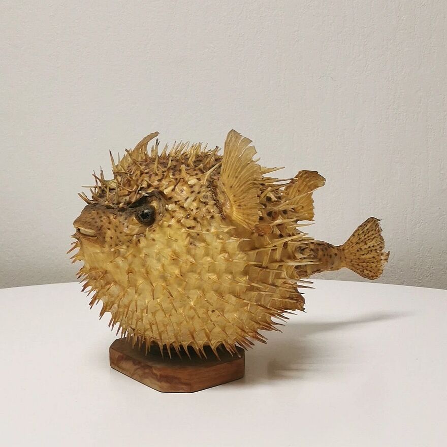 Naturalized Moonfish Lamp, 1950