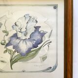Iris flower on paper with vintage wooden frame