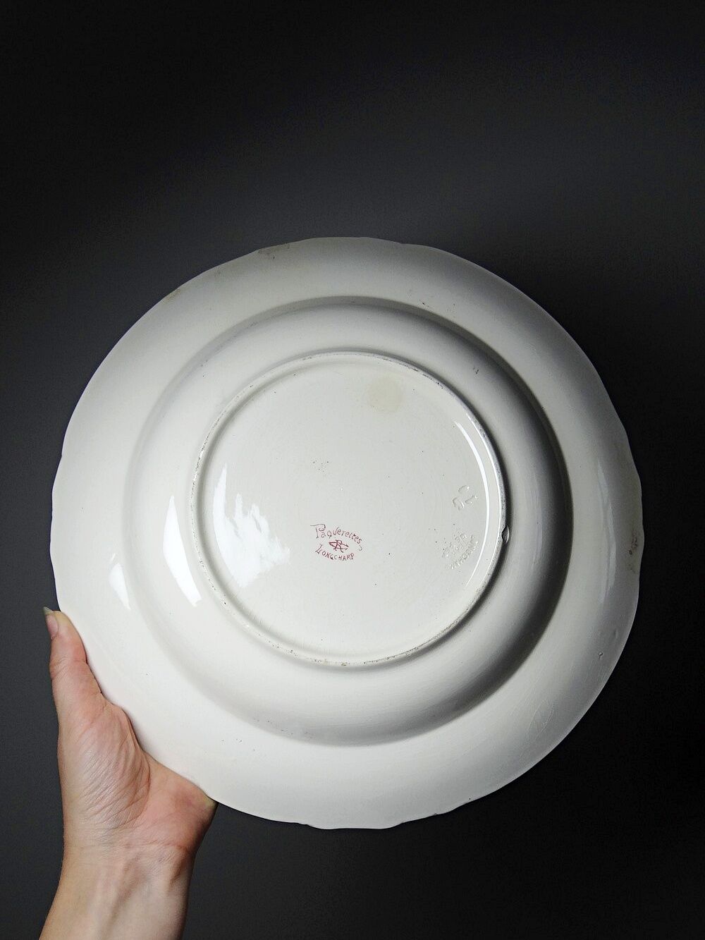 Antique Longchamp service shallow dish with polychrome daisies, ironstone, 19th century.