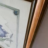 Iris flower on paper with vintage wooden frame