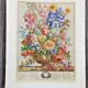 Lot of 19th century Floral Engravings - Vintage Art Print Flowers - 12 months - Robert Furber