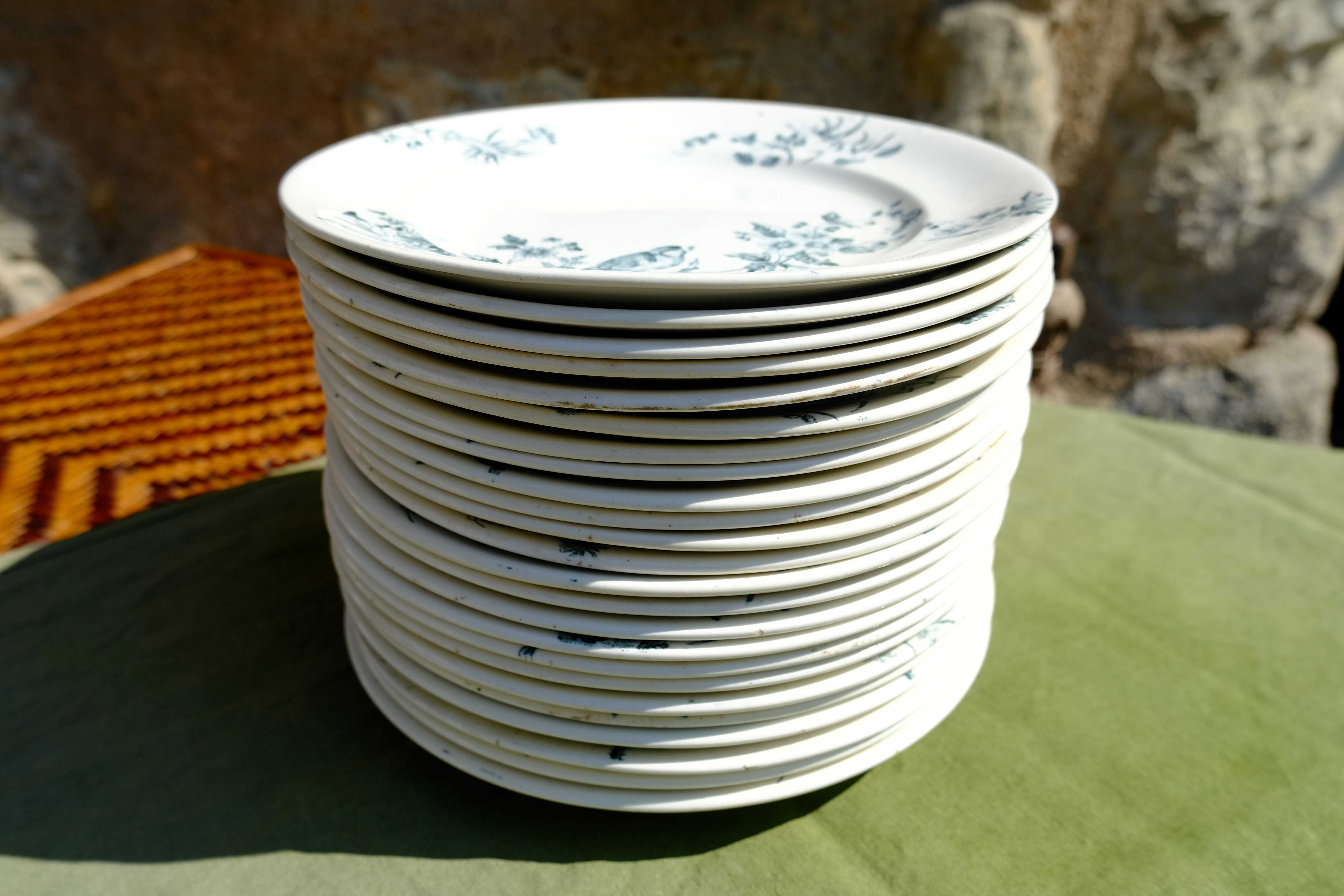 Mignon plates in Longwy earthenware