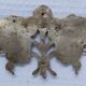 Two bronze ornaments furniture floral decoration early 20th century