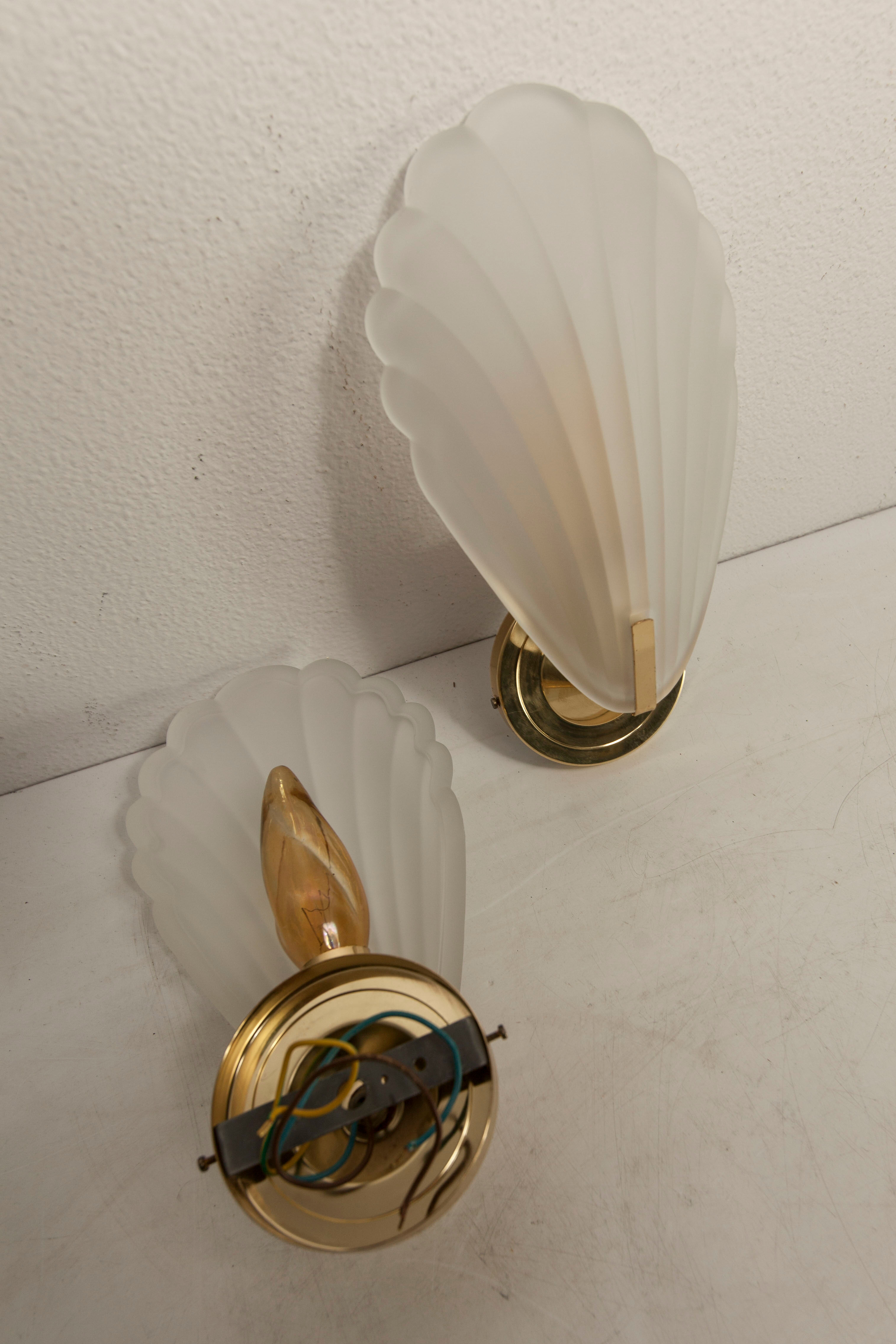 Paire d'appliques murales coquillages verre murano et laiton 1960