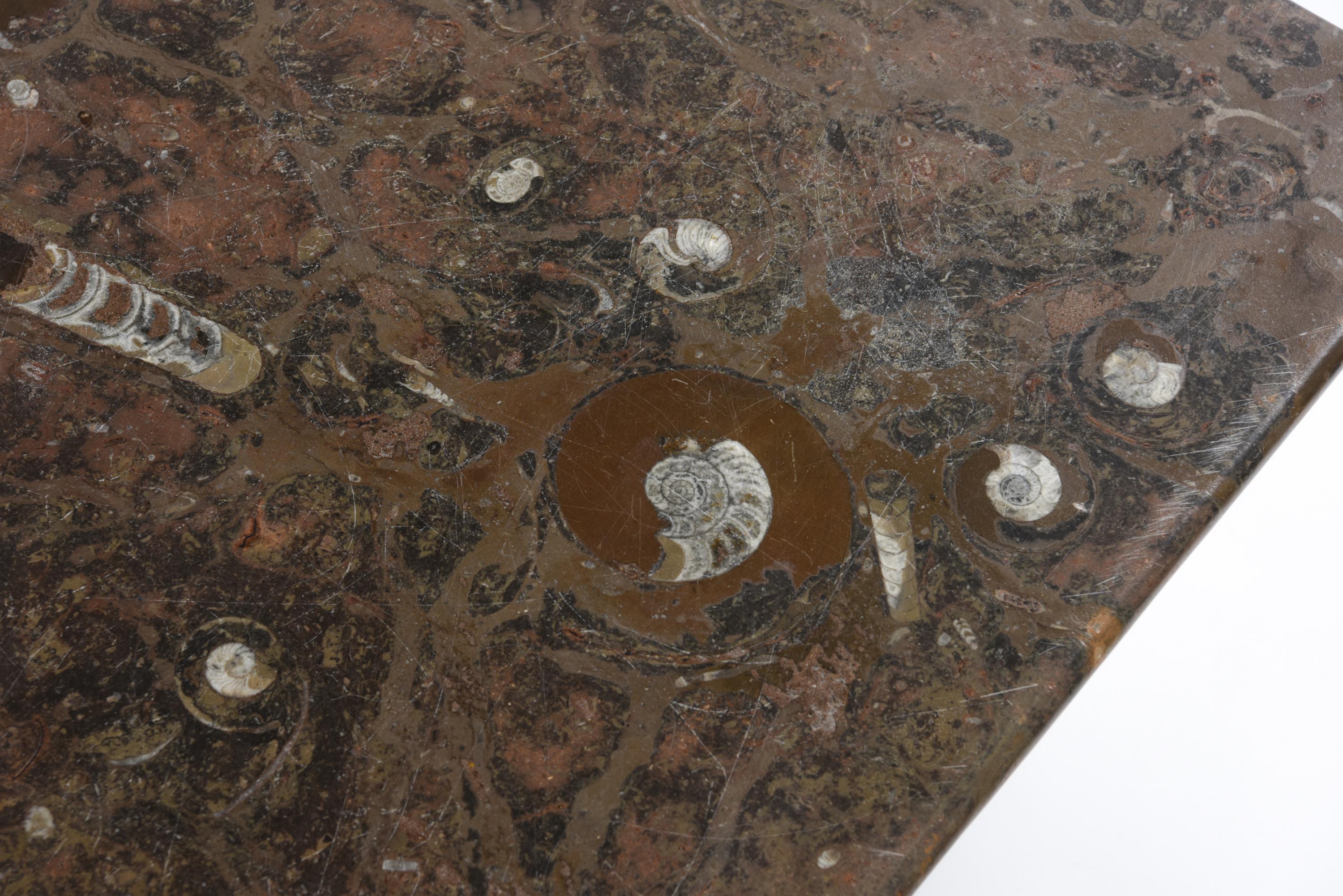 Fossilized stone nesting tables
