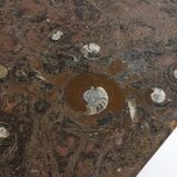 Fossilized stone nesting tables