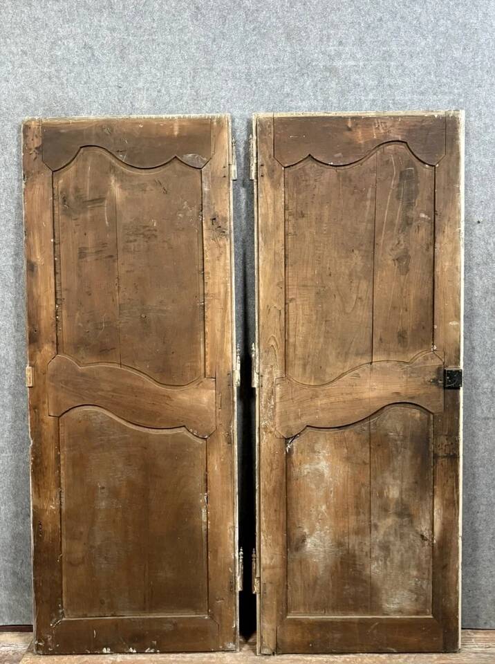 Pair of 18th century woodwork doors in poplar