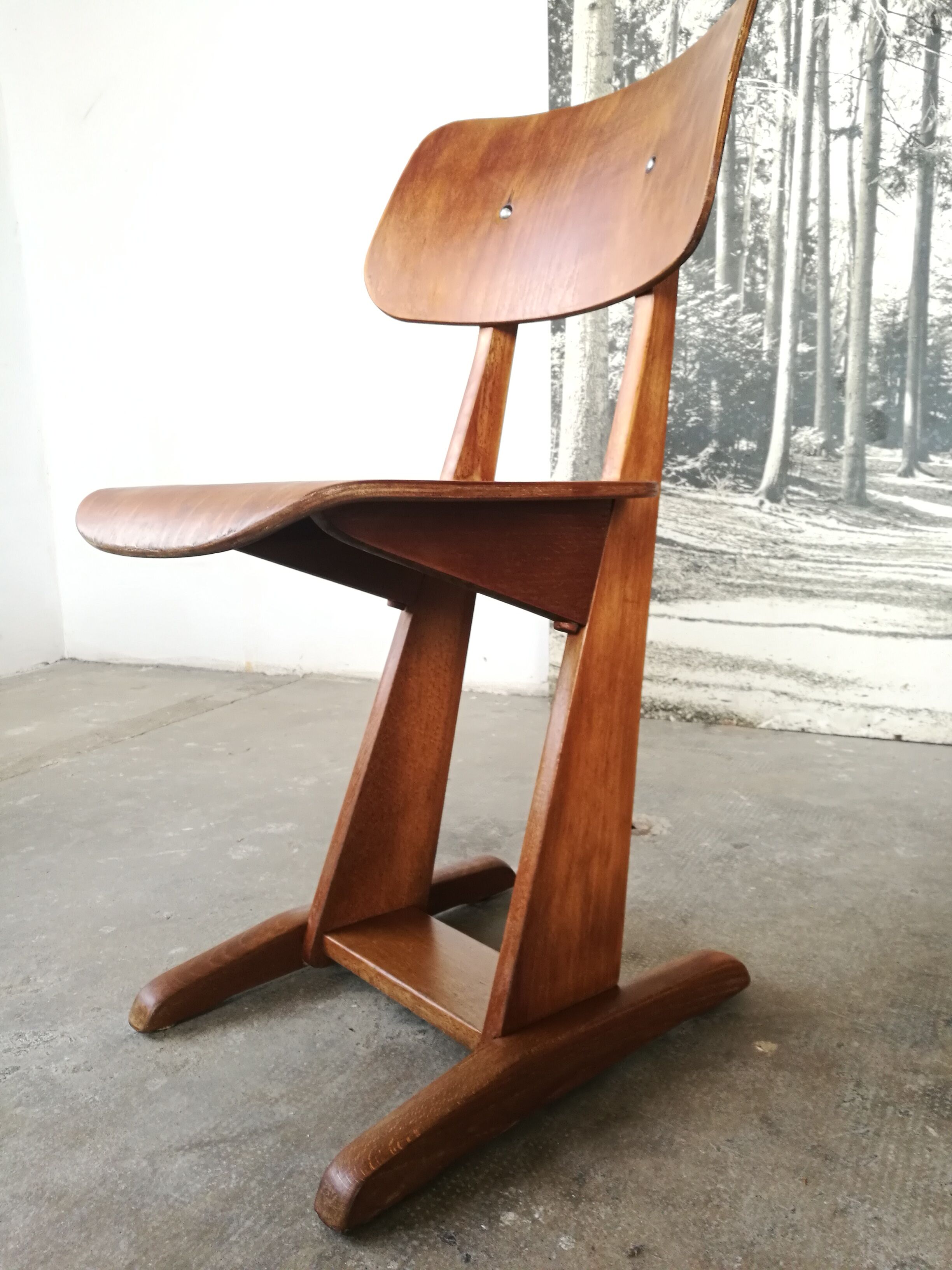 Adult Casala chair