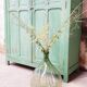 Armoire parisienne vintage