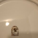 10 assiettes  porcelaine"sfp France "