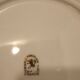 Porcelain plates"sfp France "