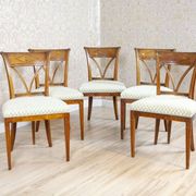 Vintage Elm Chairs in White Upholstery, 1950s, Set of 5