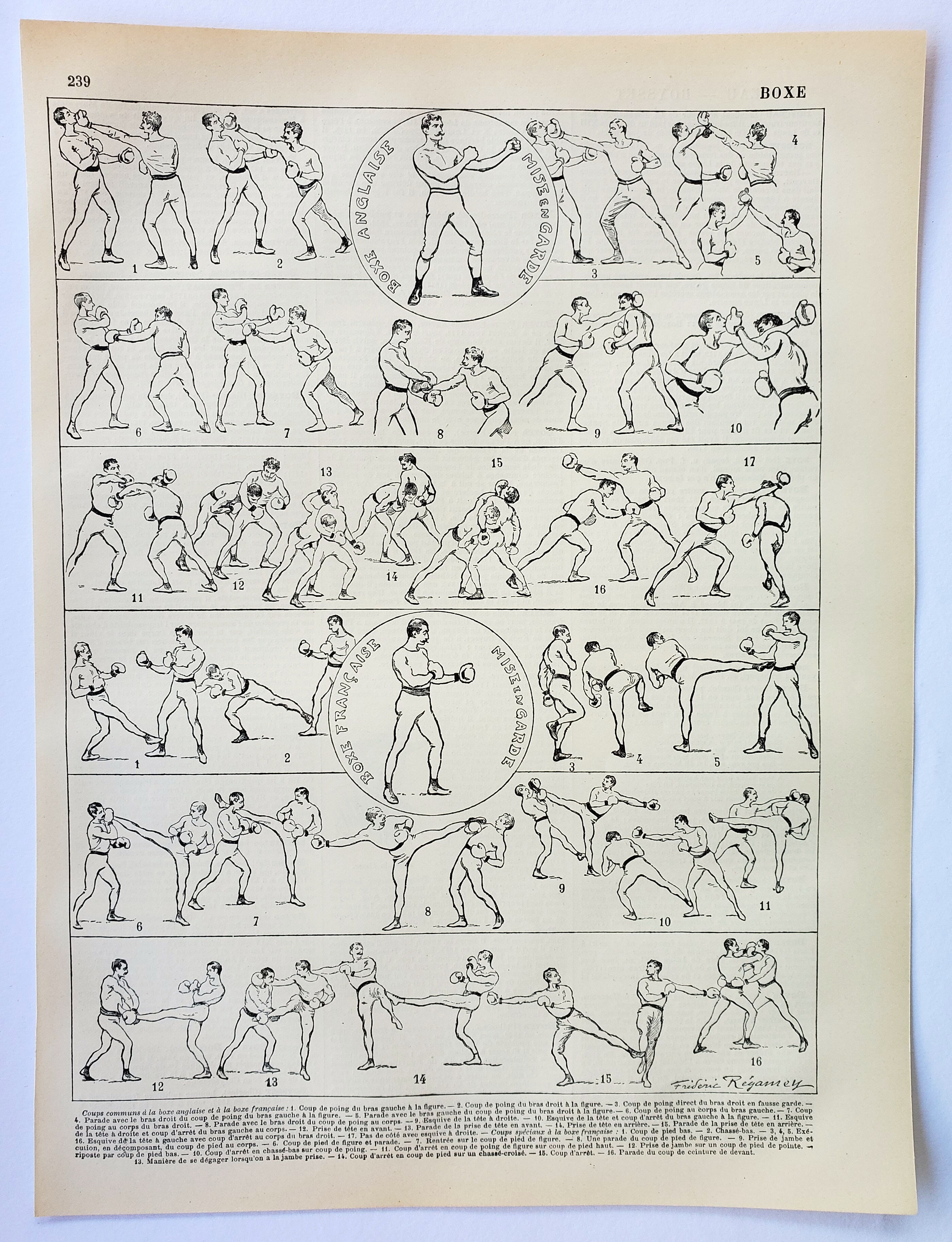Engraving • Boxing, technique, combat sport • Original and vintage lithograph from 1898