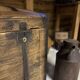 Renovated old wooden trunk – storage box / vintage decor