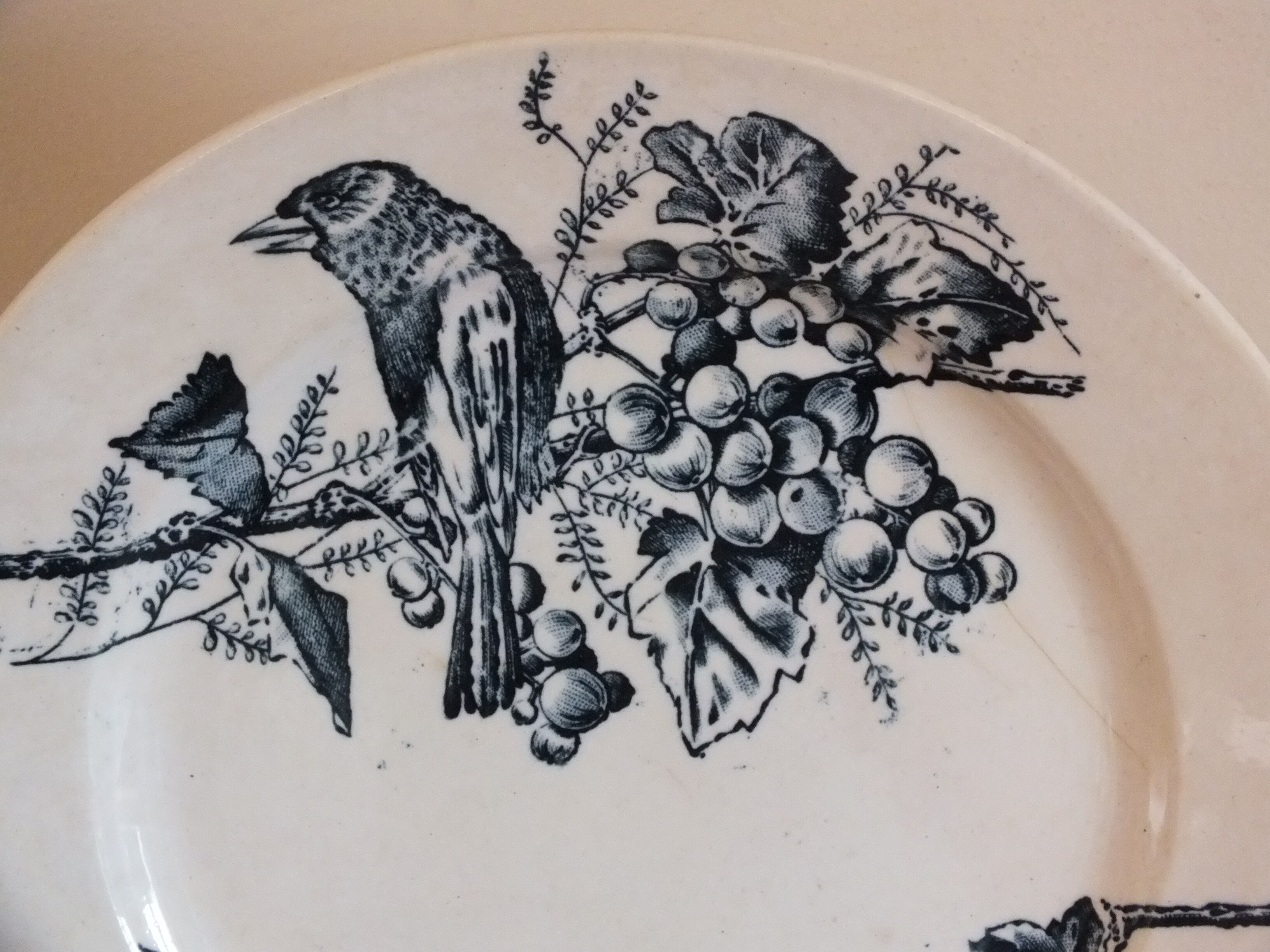 3 Flat plates in Iron Earth HB Choisy bird décor