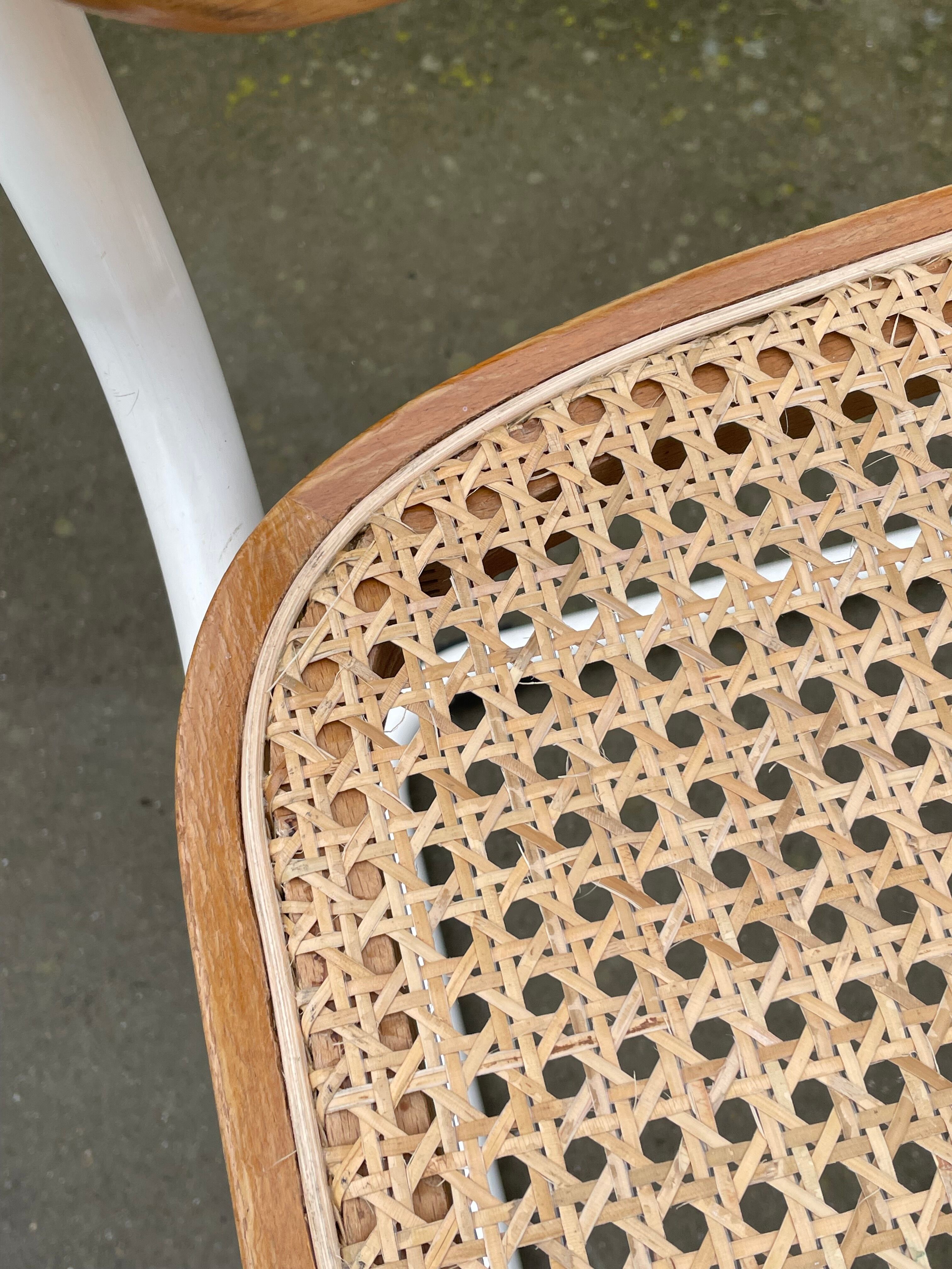 Chaise Cesca modèle b32 en blanc et bois par Marcel Breuer