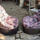 Pair of frog chairs