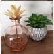 Carafe