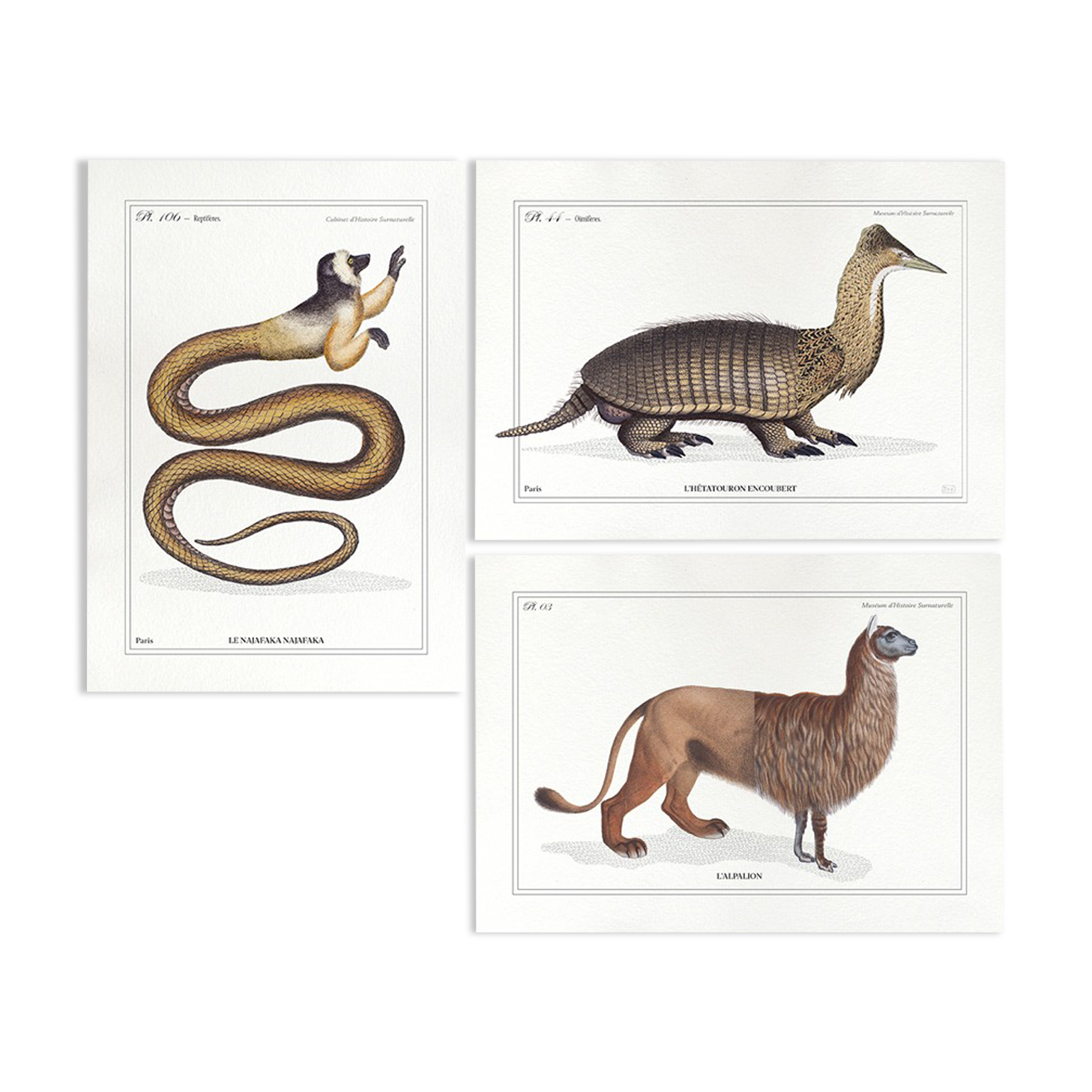 Set of 3 chimeras lithography animal engraving