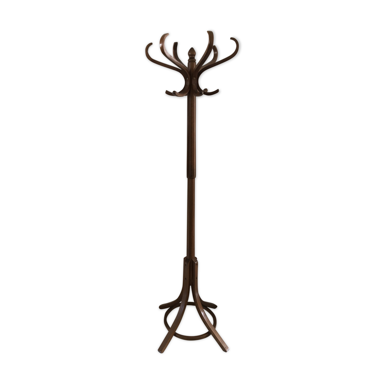 Baumann parrot coat hanger