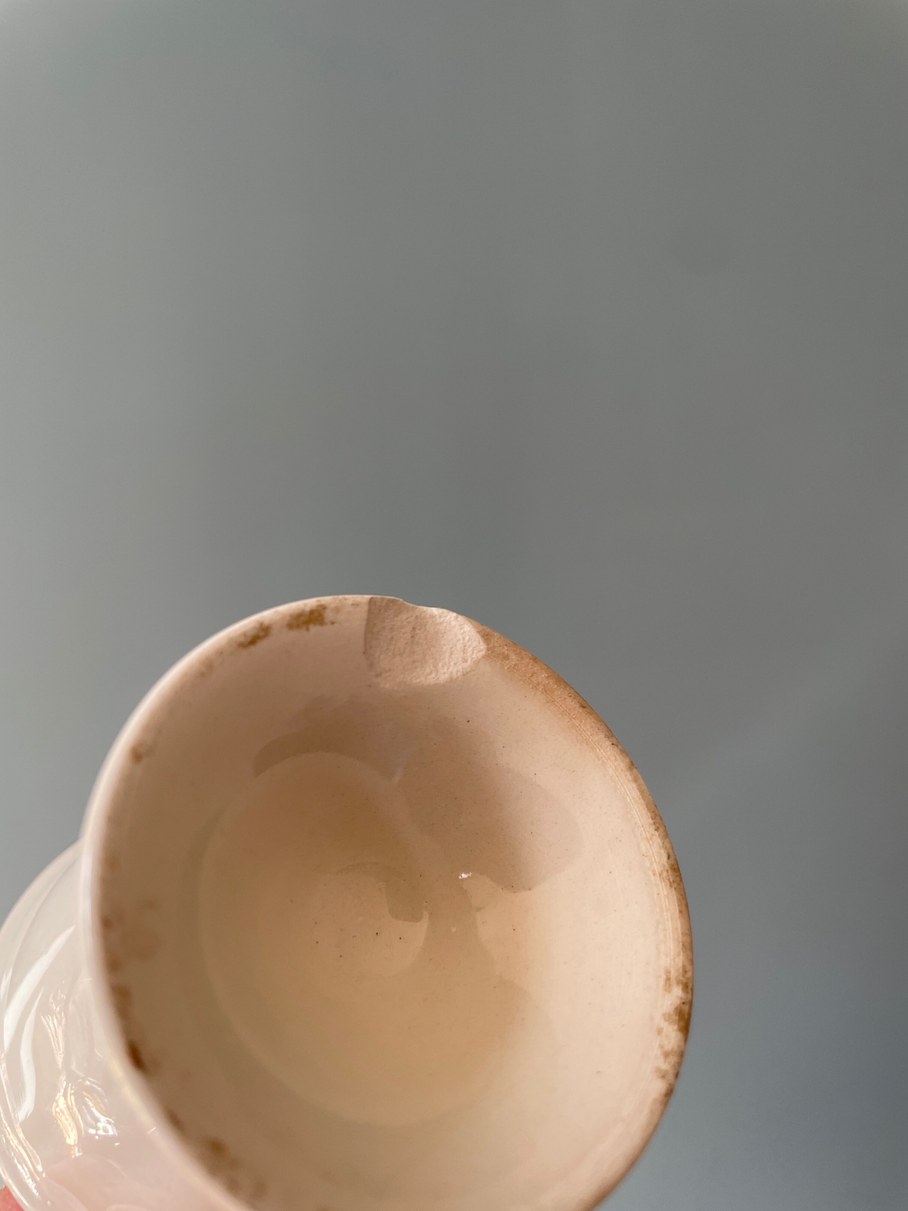 Set of 13 old standing cockroaches