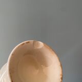 Set of 13 old standing cockroaches