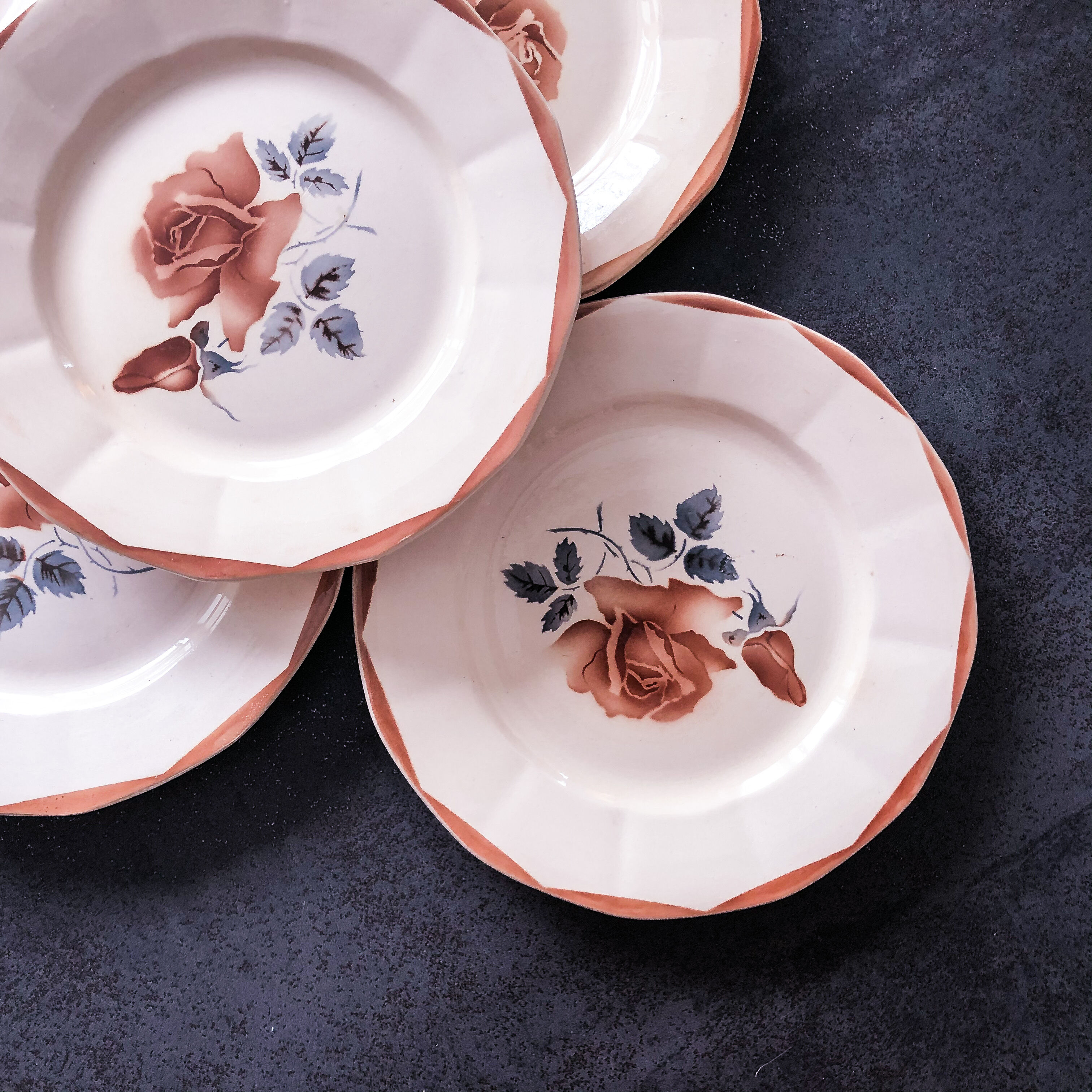 5 flat plates digoin sarreguemines