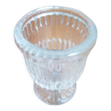 Glass cockroach