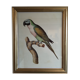 Ornithological board
