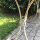 Dining garden of wood and wrought iron early twentieth