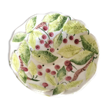 Fruit cup in dabbling